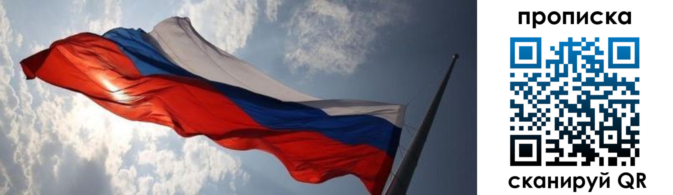 прописка штамп в Павловске